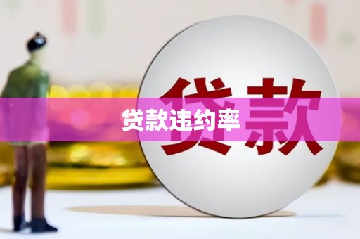 吉阳贷款违约率