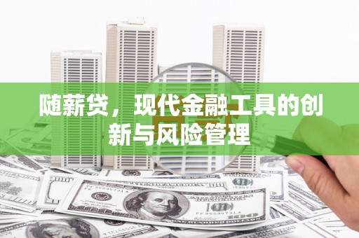 吉阳随薪贷，现代金融工具的创新与风险管理