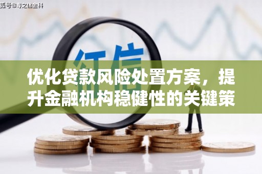 吉阳优化贷款风险处置方案，提升金融机构稳健性的关键策略