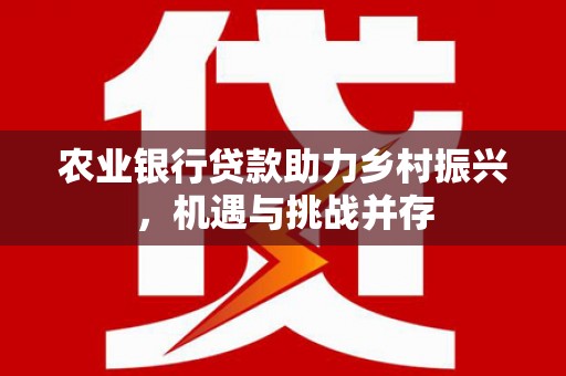 吉阳农业银行贷款助力乡村振兴，机遇与挑战并存