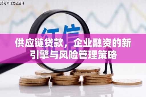 吉阳供应链贷款，企业融资的新引擎与风险管理策略