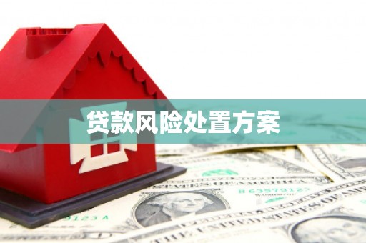 吉阳贷款风险处置方案
