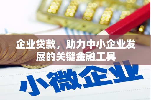吉阳企业贷款，助力中小企业发展的关键金融工具