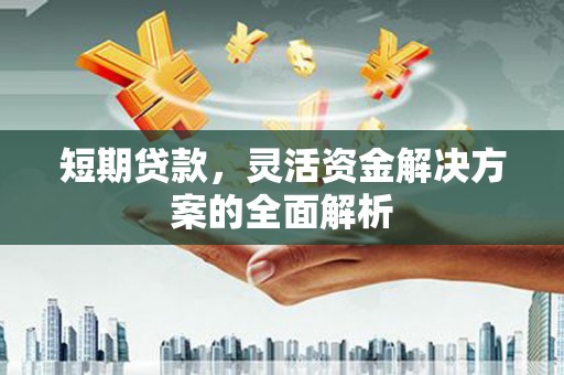 吉阳短期贷款，灵活资金解决方案的全面解析