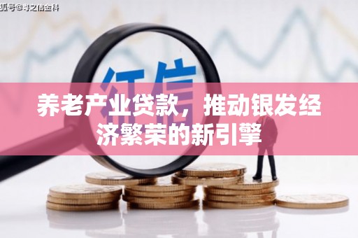 吉阳养老产业贷款，推动银发经济繁荣的新引擎