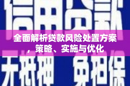 吉阳全面解析贷款风险处置方案，策略、实施与优化
