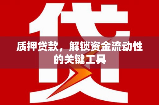 吉阳质押贷款，解锁资金流动性的关键工具