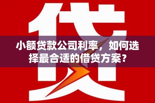 吉阳小额贷款公司利率，如何选择最合适的借贷方案？