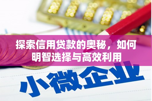 吉阳探索信用贷款的奥秘，如何明智选择与高效利用
