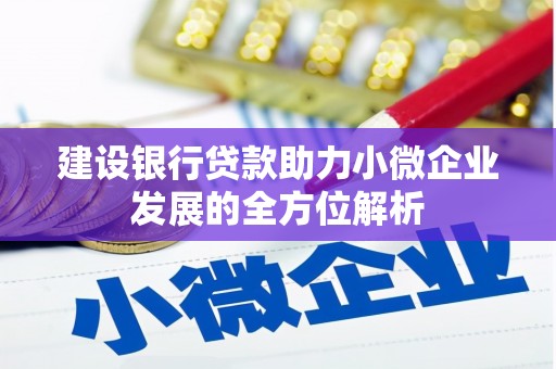 吉阳建设银行贷款助力小微企业发展的全方位解析