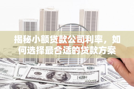吉阳揭秘小额贷款公司利率，如何选择最合适的贷款方案