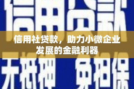 吉阳信用社贷款，助力小微企业发展的金融利器