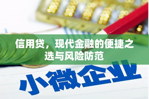 吉阳信用贷，现代金融的便捷之选与风险防范