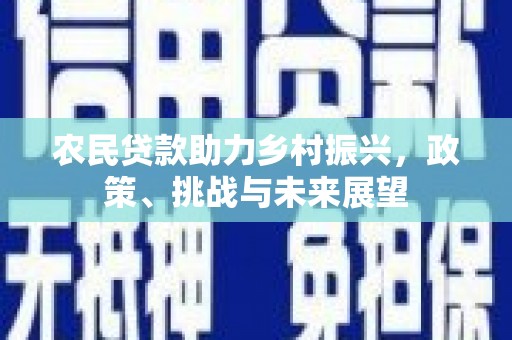 吉阳农民贷款助力乡村振兴，政策、挑战与未来展望