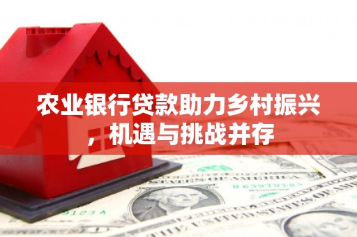 吉阳农业银行贷款助力乡村振兴，机遇与挑战并存