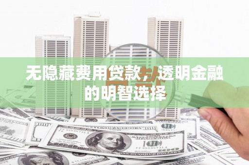吉阳无隐藏费用贷款，透明金融的明智选择