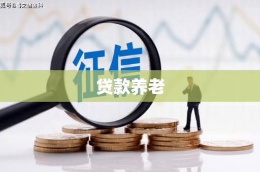 吉阳贷款养老