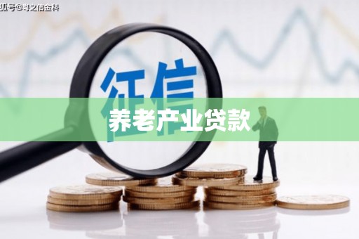吉阳养老产业贷款