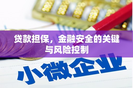 吉阳贷款担保，金融安全的关键与风险控制