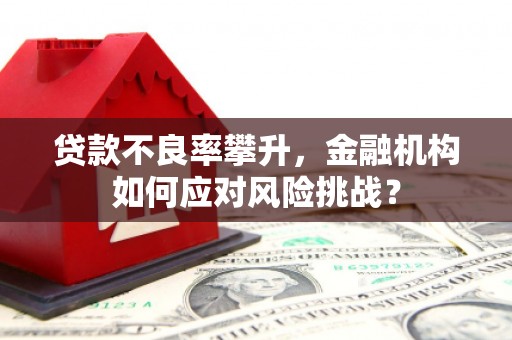 吉阳贷款不良率攀升，金融机构如何应对风险挑战？