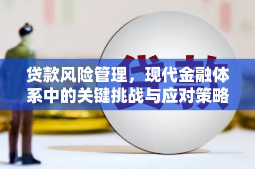 吉阳贷款风险管理，现代金融体系中的关键挑战与应对策略