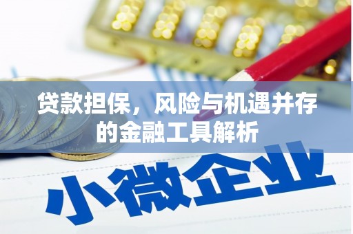 吉阳贷款担保，风险与机遇并存的金融工具解析