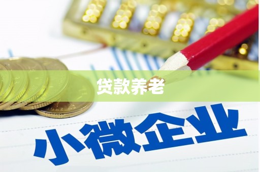 吉阳贷款养老